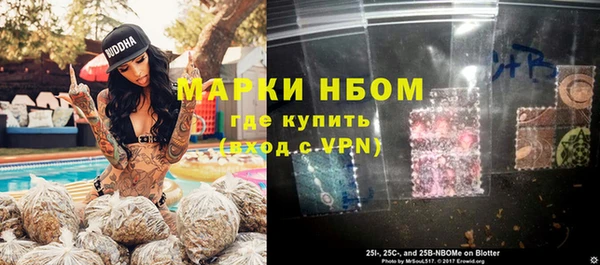 прущие грибы Куйбышев